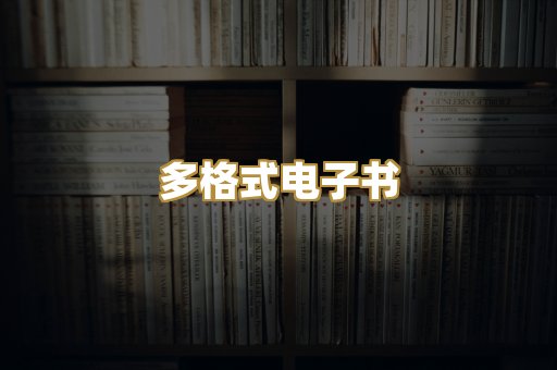 多格式电子书